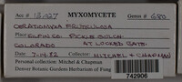 Image Associated With the Occurence